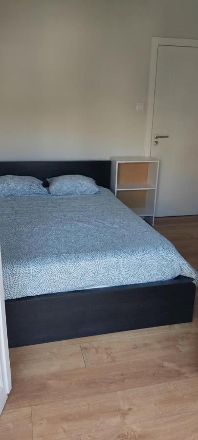 Guesthouse Porto Serpa Pinto المظهر الخارجي الصورة